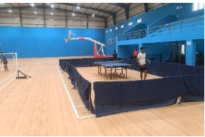 Sports Gallery 2