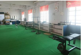 Sports Gallery 5